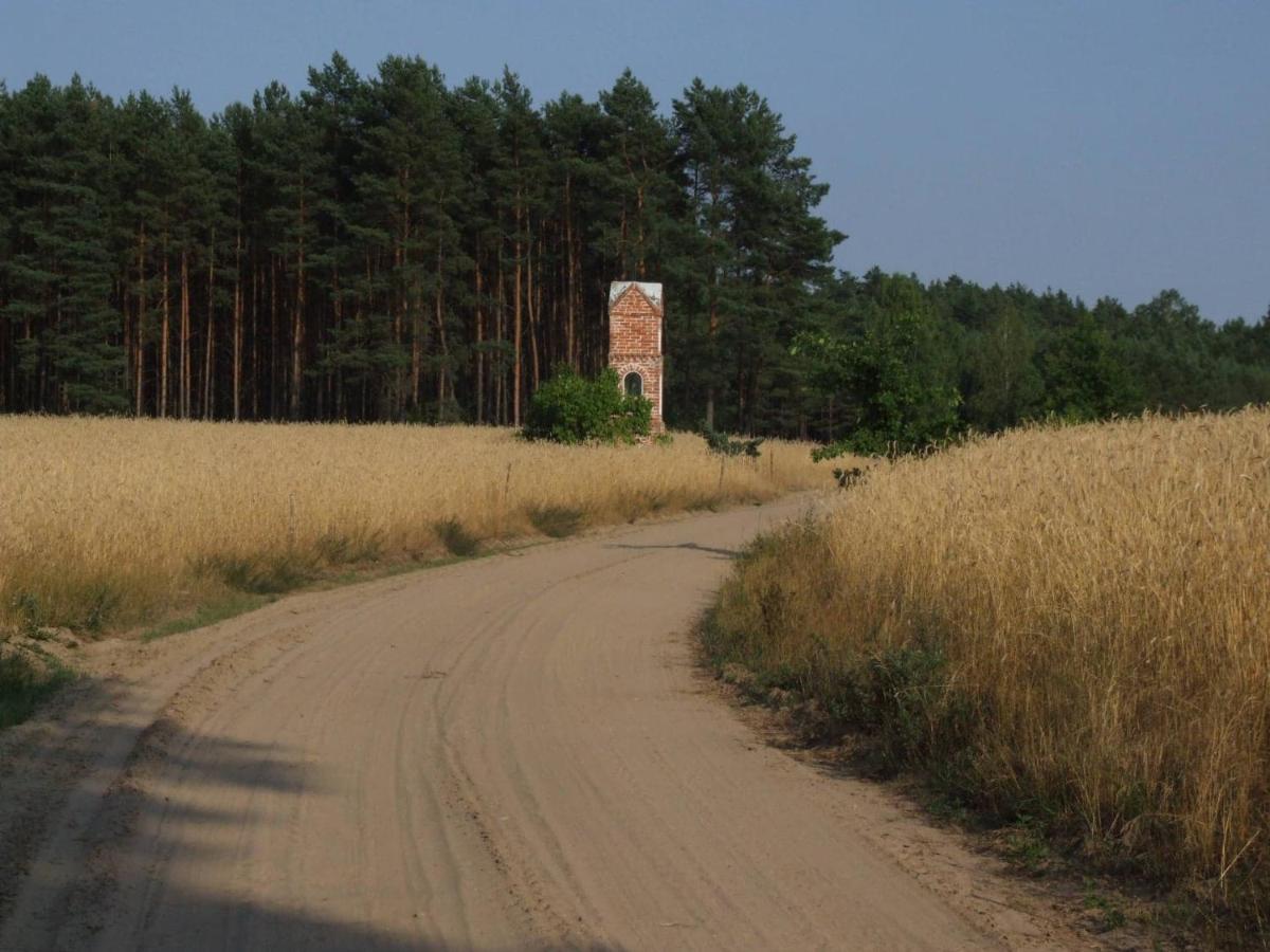 Lesny Zakatek Lipinki Bory Tucholskie - Sauna * Lipinki (Swiecie)