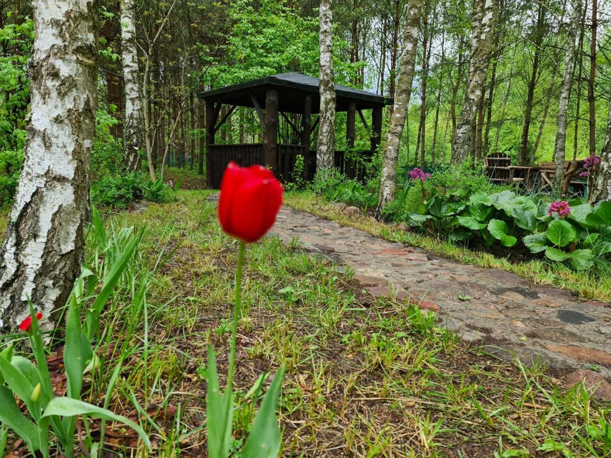 Lesny Zakatek Lipinki Bory Tucholskie - Sauna *