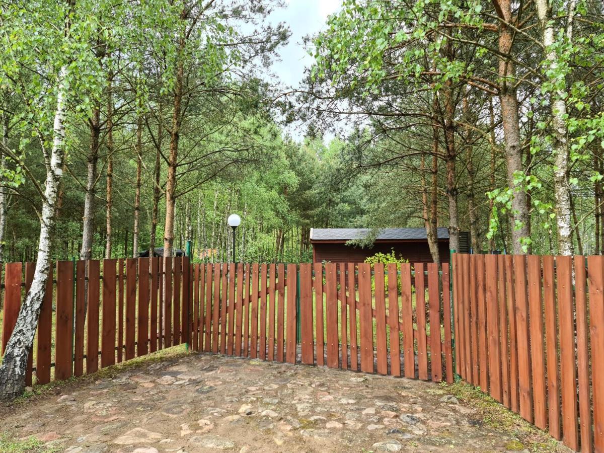 Lesny Zakatek Lipinki Bory Tucholskie - Sauna