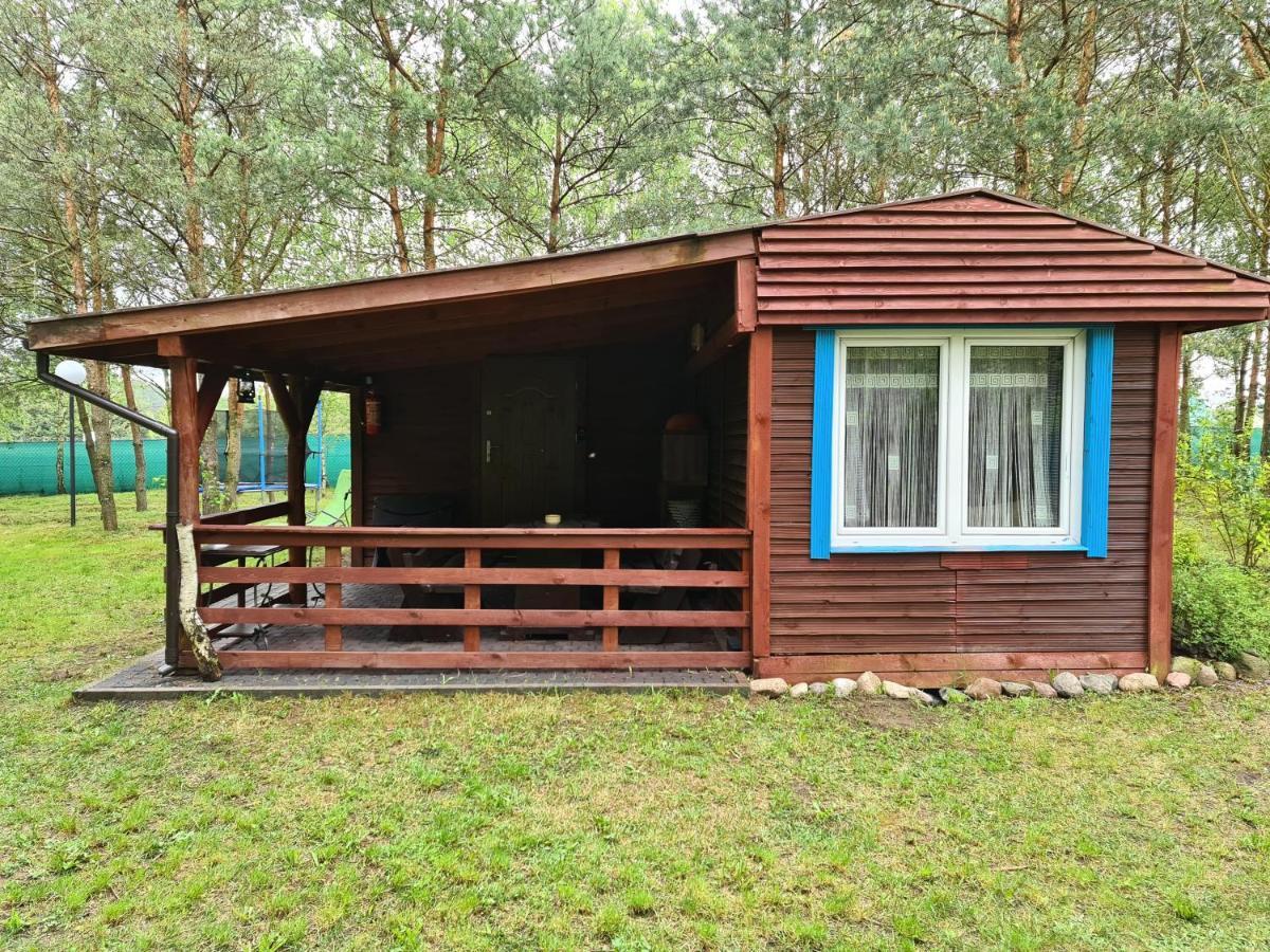 Lesny Zakatek Lipinki Bory Tucholskie - Sauna Apartment
