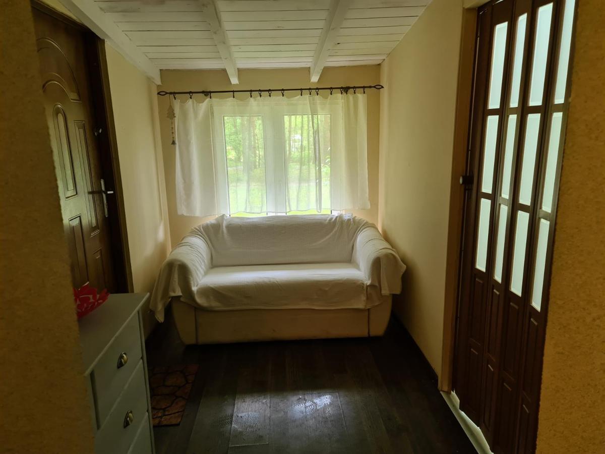 Apartment Lesny Zakatek Lipinki Bory Tucholskie - Sauna